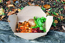 Take away food served in a cardboard box which can be recycled, Walthamstow, London Brough of Waltham Forest, England, UK, October 2013.