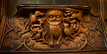 Medieval misericord depicting an owl being mobbed by birds, Gloucester Cathedral, Gloucester, England, UK, February 2011.
