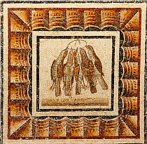 Mosaic of trapped thrushes, from late 2nd century Roman from pavement of a triclinium (dining room) at Thysdrus, El-Jem, Tunisia. Mosaic in Bardo Museum, photographed with permit.