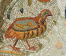 Roman mosaic of a Partridge probably a Barbary partridge (Alectoris barbara) one of many mosaics depicting birds in the Villa of the Aviary - peristilium (courtyard) at Carthage Tunisia. From around 3...