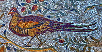 Mosaic of Pheasant (Phasanidae) and Cockerel one of many mosaics depicting birds in the Villa of the Aviary - peristilium (courtyard) at Carthage Tunisia.  Roman dating to around 3rd century AD.