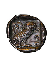 Ancient greek coin depicting Little Owl (Athene noctua) the symbol of Athena.