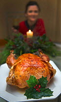 Roast Turkey on Christmas Day, Norfolk UK, 25th December 2011.