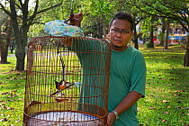 Abdul Rahman with his White-rumped shama (Copsychus malabaricus) worth around $2000, which he enters into competitions. Singapore, July 2011.