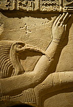 Cornice block of the Ibis headed Thoth poured water over the head of the King. Dating to AD 41-68 from a screen wall in the temple of Harendotes (Horus the Avenger) on the island of Philae, Lake Nasse...