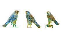 Inlays in the form of falcons from shrines from ancient Egypt from the Ptolemaic Empire, Egypt during the Hellenistic period.