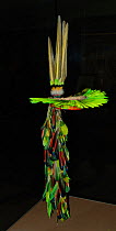 Head dress of parrot feathers from the Kofan, Ecuador, South America.