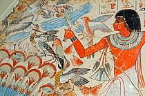 Detail of mural from the tomb chapel of Nebanum, Thebes, Egypt. Showing Nebamun hunting birds in the marshes around the Nile. From late 18th Dynasty, around 1350 BC?.