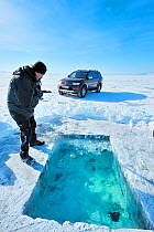 Man looking into ice hole dug for ice diving, Lake Baikal, Siberia, Russia, March. Model released.