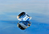 Ice fragment reflected in the ice of Lake Baikal, Siberia, Russia, March.