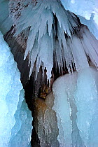 Cave with icicles / ice stalactites on the ceiling,  Lake Baikal, Siberia, Russia, March.