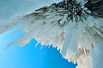 Icicles / ice stalactites hanging from cave ceiling, Lake Baikal, Siberia, Russia, March.
