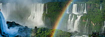 Rainbow over Iguasu Falls, on the Iguasu River, Brazil / Argentina border. Photographed from the Brazilian side of the Falls. State of Parana, Brazil, September.