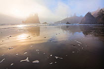 Swirling mists over imposing sea stacks, Second Beach, Olympic National Park, Washington, USA, October 2013.