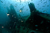 Diver on the conning tower of U-Boat -U352. Type VIIC sunk off Cape Lookout on the 9th May 1942, North Carolina, USA, September 2013.