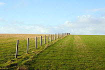 Fence line dividing two grassland pastures and disappearing over the horizon. Mendip Hills, Somerset, UK, December.