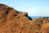 North Devon Coast Path near Pensport Rock, with walkers climbing up zig zag trail, west of Ilfracombe, Devon, UK, December 2013.