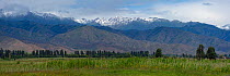Issyk-Kul Biosphere Reserve, landscape in the Tian Shan mountains, Kyrgyzstan, Central Asia. July 2013.  Stiched panorama out of two exposures.