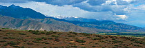Issyk-Kul Biosphere Reserve, landscape in the Tian Shan mountains, sloping down to lake Issyk-Kul, Kyrgyzstan, Central Asia. July 2013. stiched panorama out of three exposures.