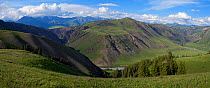 Naryn Zapovednik, protected area in the Naryn River valley; Tian Shan / Celestial Mountains, Kyrgyzstan, Central Asia. July 2013.