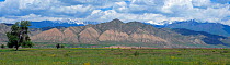 Naryn Zapovednik, protected area in the Naryn River valley; Tian Shan / Celestial Mountains, Kyrgyzstan, Central Asia. Stiched panorama out of three exposures.