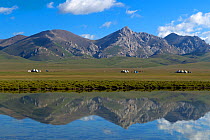 Song-Kul Lake with yurts from herdsmen during summer pasture, Karatal-Japyryk State Nature Reserve, Tian Shan mountains, Kyrgyzstan, Central Asia, July 2013.