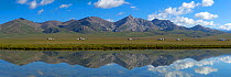Song-Kul Lake with yurts from herdsmen during summer pasture, Karatal-Japyryk State Nature Reserve, Tian Shan mountains, Kyrgyzstan, Central Asia, July 2013. Stiched panorama out of two exposures.
