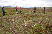 Chukchi children playing a traditional game of lassoing a set of reindeer antlers on the ground at a reindeer herders summer camp. Iultinsky District, Chukotka, Siberia, Russia. July 2013.