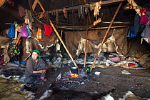 Tamara, a Chukchi woman, cooking inside her family's Yaranga (traditional tent) in the summer at a Chukchi reindeer herder's camp. Iultinsky District, Chukotka, Siberia, Russia. July 2013.