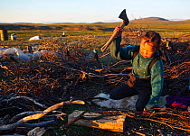 Ruslana Votgyrgina, a young Chukchi girl, using a hatchet to chop firewood at a reindeer herders' summer camp. Iultinsky District, Chukotka, Siberia, Russia, August 2013.