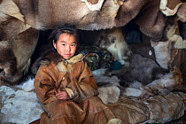Nadia Takui, a Chukchi girl, dressed in a traditional reindeer skin Kamleika (parka) sits by the by the front of the polog (sleeping area) in a Yaranga (tent) at a reindeer herders' summer camp. Iulti...
