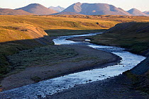 Matachingay River valley with mountains of the Chukotsky Range in the background in evening light. Iultinsky District, Chukotka, Siberia, Russia, August 2013.