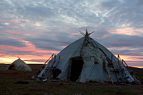Two Chukchi Yarangas (tent) at dusk at a reindeer herder's summer camp. Iultinsky District, Chukotka, Siberia, Russia, August 2013.