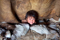 After waking up in the morning, Yaroslava Votgyrgina, a Chukchi girl, sticks her head out of the polog (sleeping area) in a Yaranga (tent) at a reindeer herders' summer camp. Iultinsky District, Chuko...