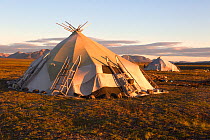 Two Chukchi Yarangas (traditional tents) in evening sunlight at a reindeer herder's summer camp. Iultinsky District, Chukotka, Siberia, Russia, August 2013.