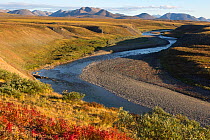 Matachingay River valley in autumn colour with mountains of the Chukotsky Range in the background in late afternoon light. Iultinsky District, Chukotka, Siberia, Russia, August 2013.