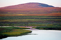Hills and tundra in autumn colour at sunset with a lake in the foreground. Iultinsky District, Chukotka, Siberia, Russia, August 2013.