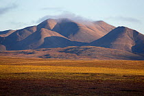 Tundra turning yellow, brown and gold in the autumn, with mountains from the Chukotsky Range in the background. Iultinsky District, Chukotka, Siberia, Russia, August 2013.