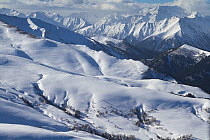 Western Caucasus Mountains landscape with forest line and snow covered alpine meadows, near Djuga ridge, Russia, March 2013.
