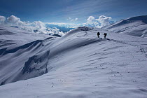 Film crew, Salanzowy, Kavkazsky Zapovednik, west Caucasus Mountains, Adygea, Russia, February.
