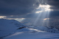 Sunlight shining through clouds onto snow, Kavkazsky Zapovednik, west Caucasus Mountains, Adygea, Russia, February.