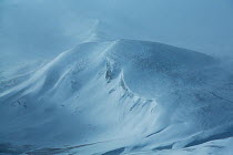 Snowdrifts, called 'sastrugi', Salanzovy, Kavkazsky Zapovednik, west Caucasus Mountains, Adygea, Russia, February 2013.