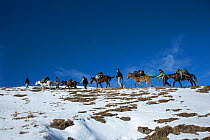 German film crew trecking with horses through snow, east Caucasus near Saribash settlement, Gakh area, Azerbaijan, December 2012.