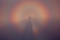 Heiligenschein phenomena / Fog bow effect through mist, Abago, Kavkazsky Zapovednik, Russia, July.