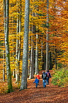 Family walking along a path in a broadleaf woodland in autumn,  Bayerischer Wald / Bavarian Forest National Park, Germany, October 2013.