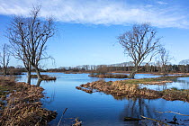 View over wetlands at Bourgoyen Ossemeersen nature reserve, Ghent, Belgium, December 2013.