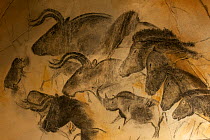 Replica of prehistoric rock paintings in Chauvet Cave, showing Woolly rhinoceros (Coelodonta antiquitatis), Wild horses (Equus ferus) and Auroch bulls (Bos primigenius), Chauvet-Pont-d'Arc Cave, Ardec...