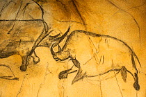 Replica of prehistoric rock paintings in Chauvet Cave, showing Woolly rhinoceros (Coelodonta antiquitatis), Chauvet-Pont-d'Arc Cave, Ardeche, France. Editorial use only.