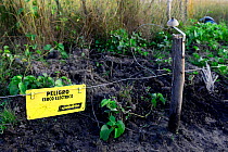 Electric fence to protect crops of rice from  hippos. Eticoga village, Orango Island, Guinea Bissau.