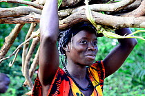 Woman carrying fire wood to the village Abu, Canogo Island, Guinea-Bissau, December 2013.